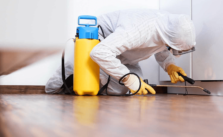 What Can Pest Control Do for You?